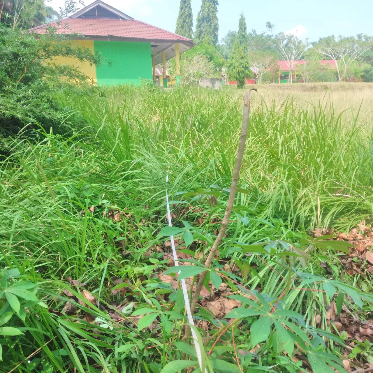 Ilustrasi Geolistrik Air Tanah Rokan Hilir: Survei SMPN 3 Balai Jaya