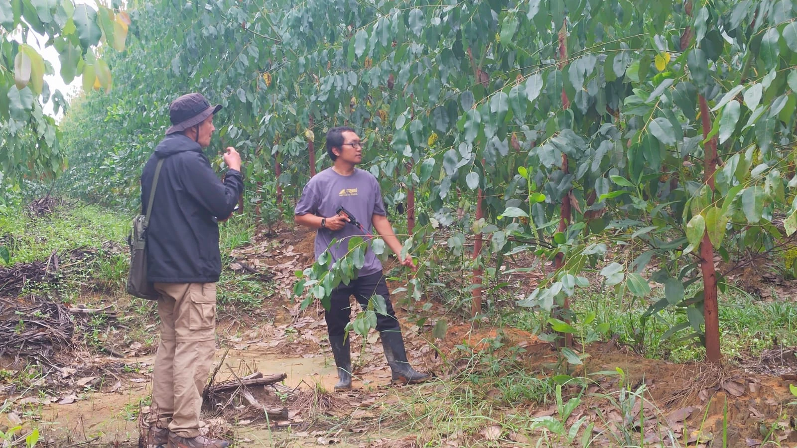Ilustrasi Survei Geolistrik Yon TP di Kampar: Cari Titik Air Tanah