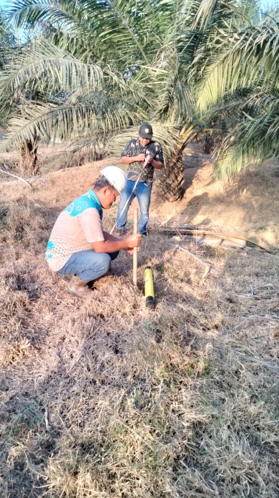 Ilustrasi Survei Geolistrik PKS PT Sajang Heulang, Tanah Bumbu Kalsel