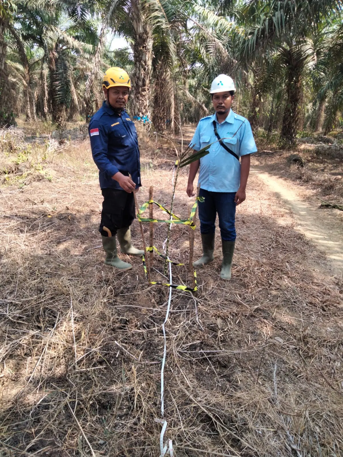Ilustrasi Survei Air Tanah OKI: Kebun Mesuji Blok 14B